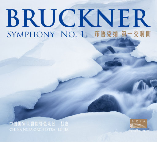 国产a一级无码毛片一区二区三区
